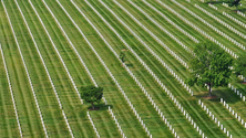 Arlington National Cemetery Headstones, Arlington, Virginia, United States